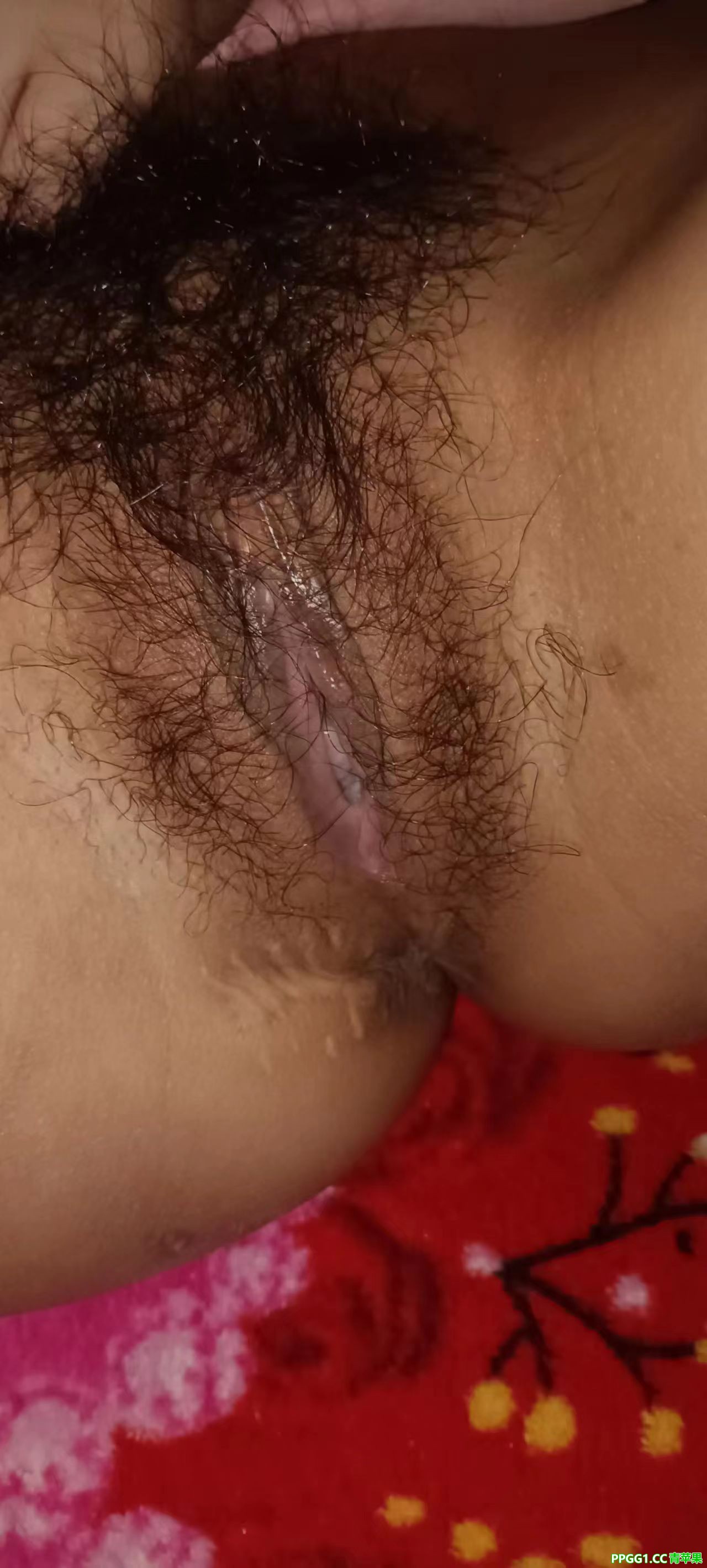 我老婆的骚逼